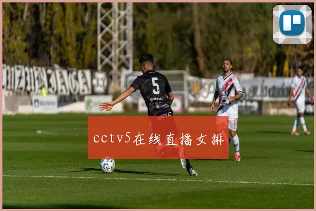 cctv5在线直播女排