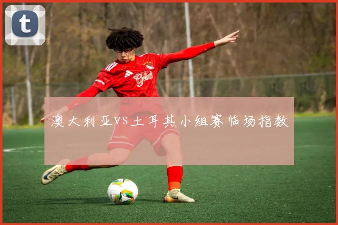 澳大利亚vs土耳其小组赛临场指数